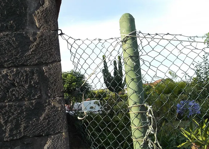 Quinta Da 乡村民宿 Abegoaria