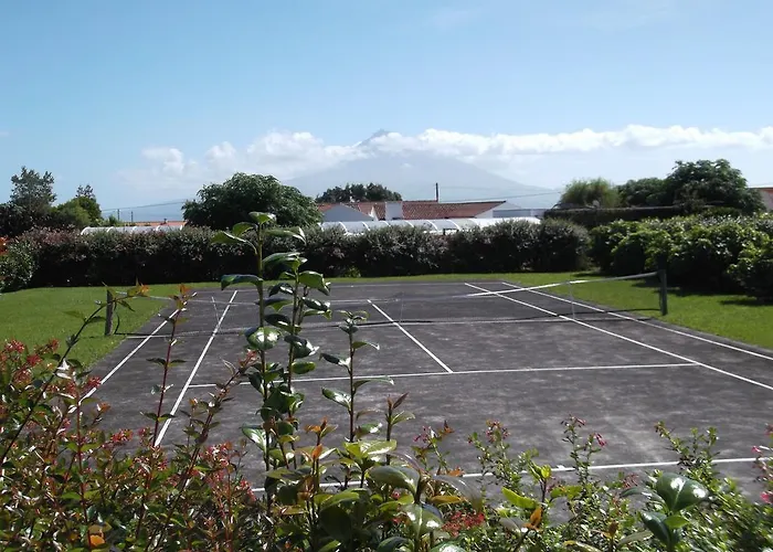 Quinta Da 乡村民宿 Abegoaria